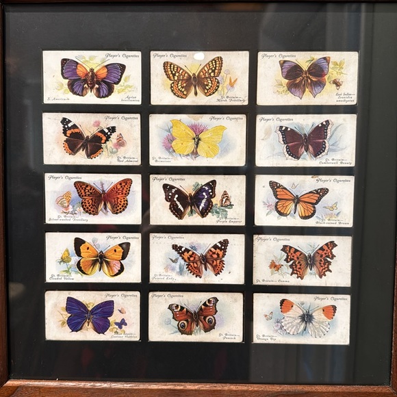 Vintage 1932 John Player Cigarette Cards BUTTERFLIES in Beautiful Wooden Frame - Picture 2 of 8